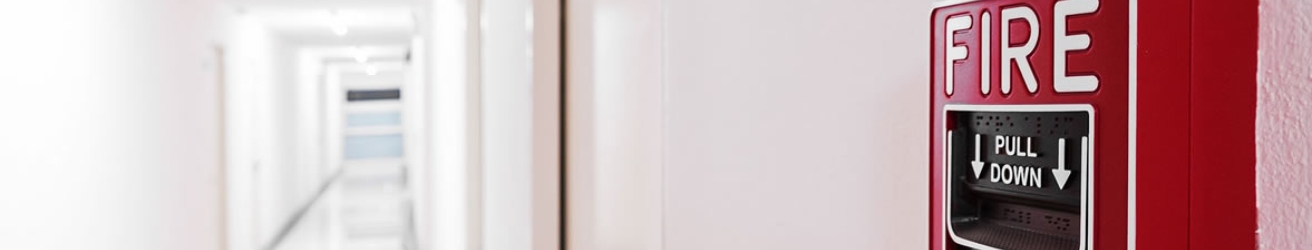 banner4